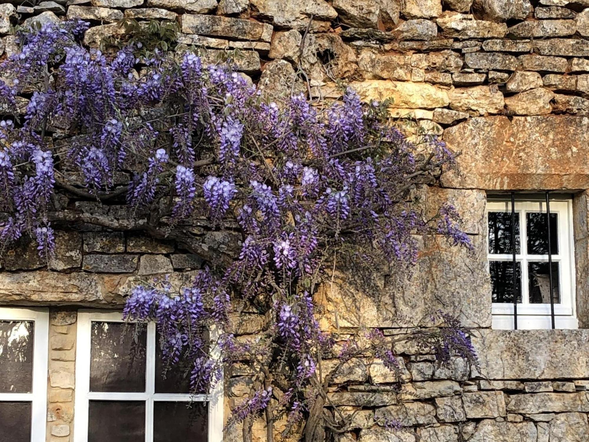 Les Follets Villa Daglan Exterior photo